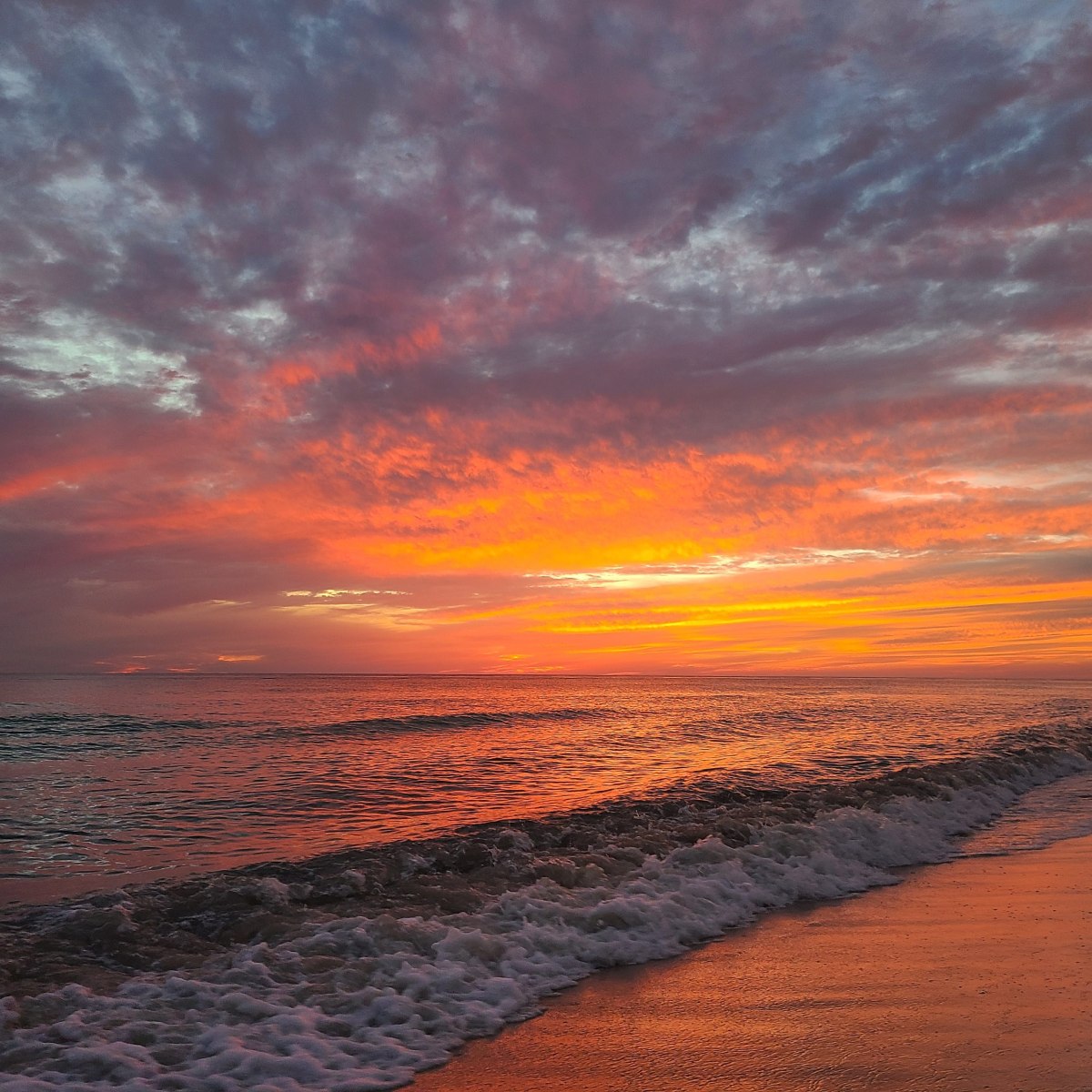 Finding Our Home in&nbsp;Florida