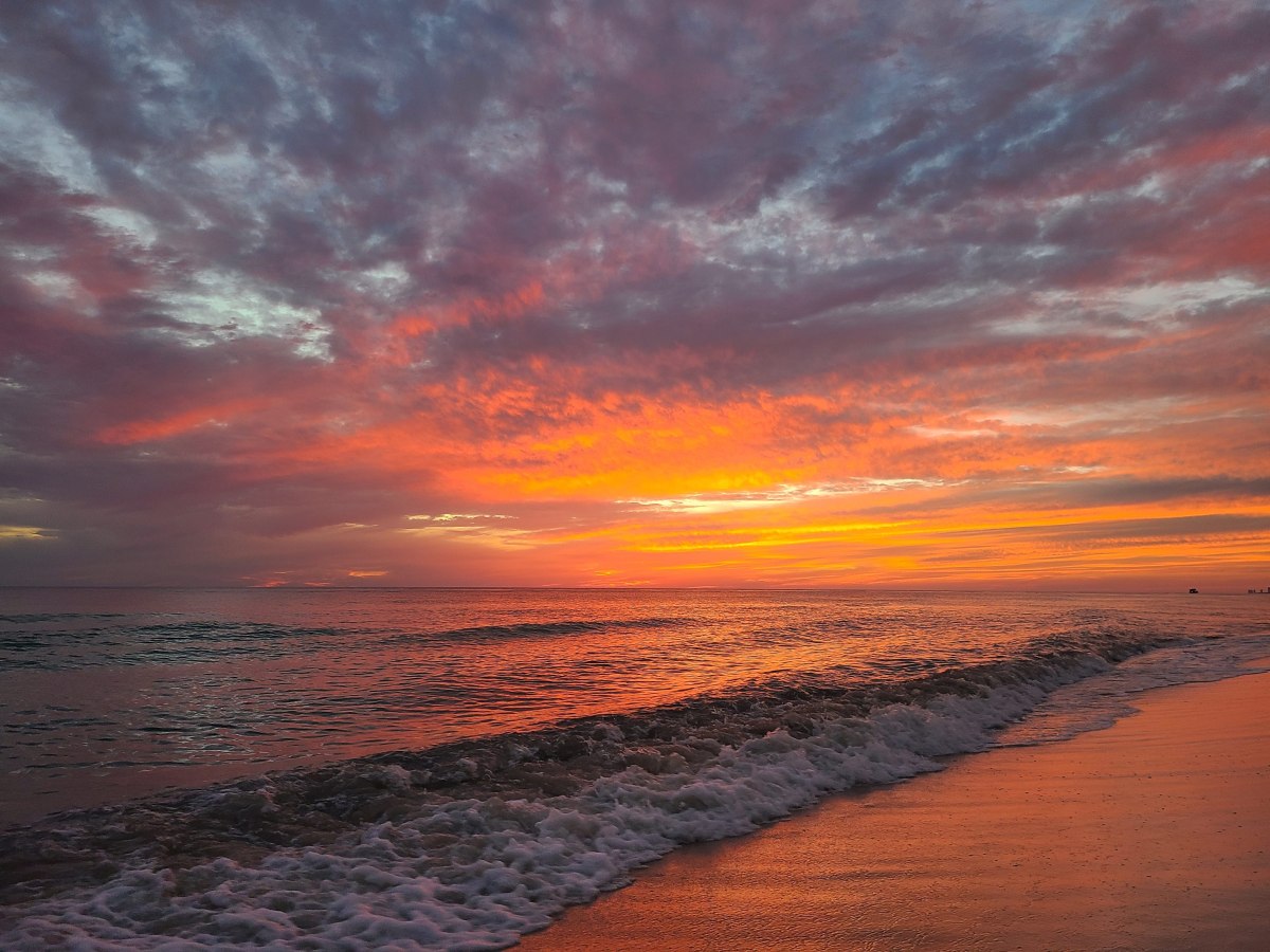 Finding Our Home in&nbsp;Florida