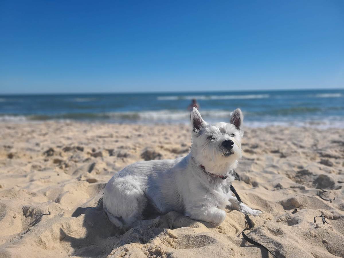 We Love a Parade: Celebrating 1 Year in&nbsp;Florida
